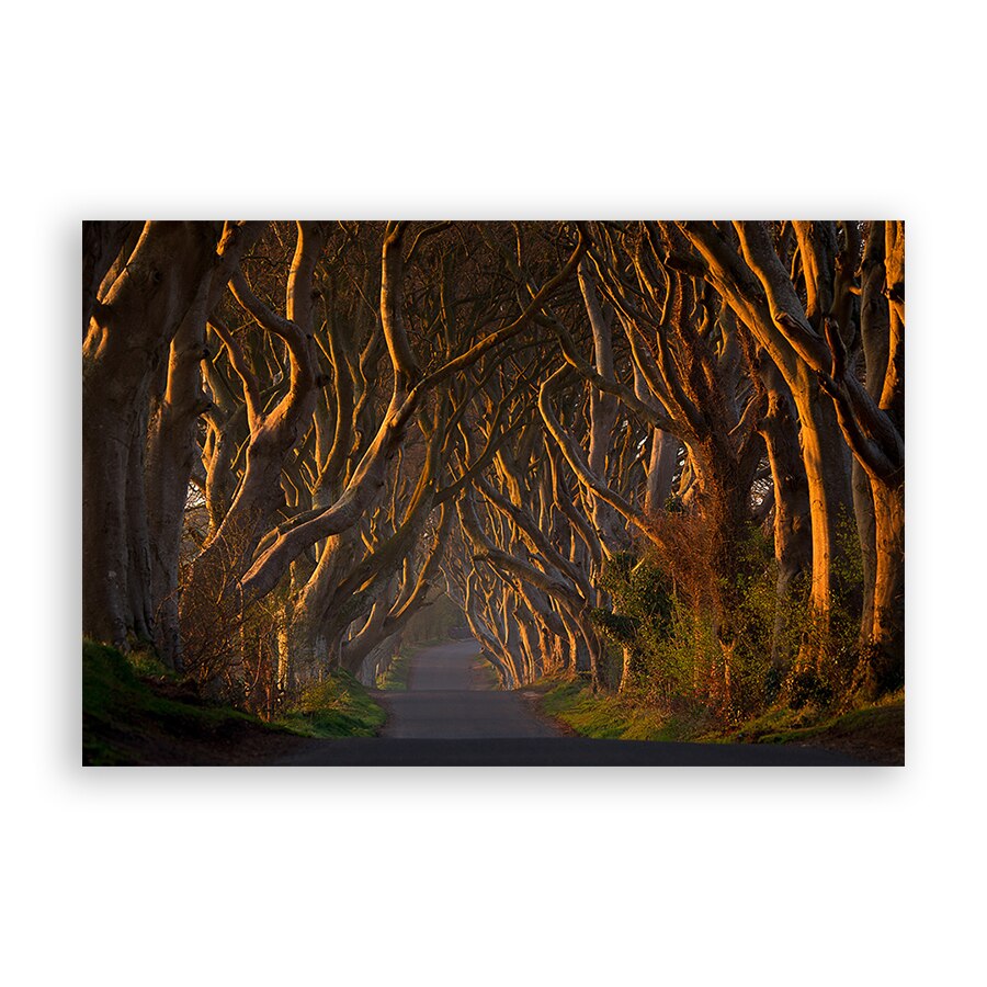 Tablou Canvas - Natura, Peisaj, Padure, Toamna, 20 x 30 cm