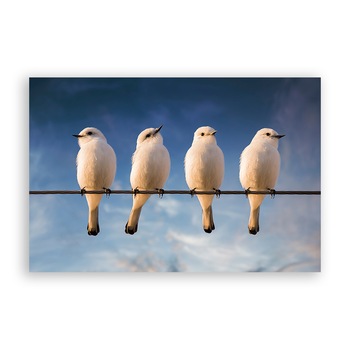 Tablou Canvas - Animal, Pasari, Creanga, Alb, 40 x 60 cm Tablou Canvas - Animal, Pasari, Creanga, Alb, 40 x 60 cm