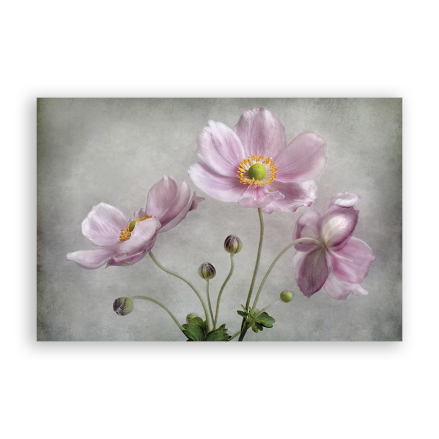 Tablou Canvas - Floral, Flori, Primavara, Roz, Pictura, 20 x 30 cm