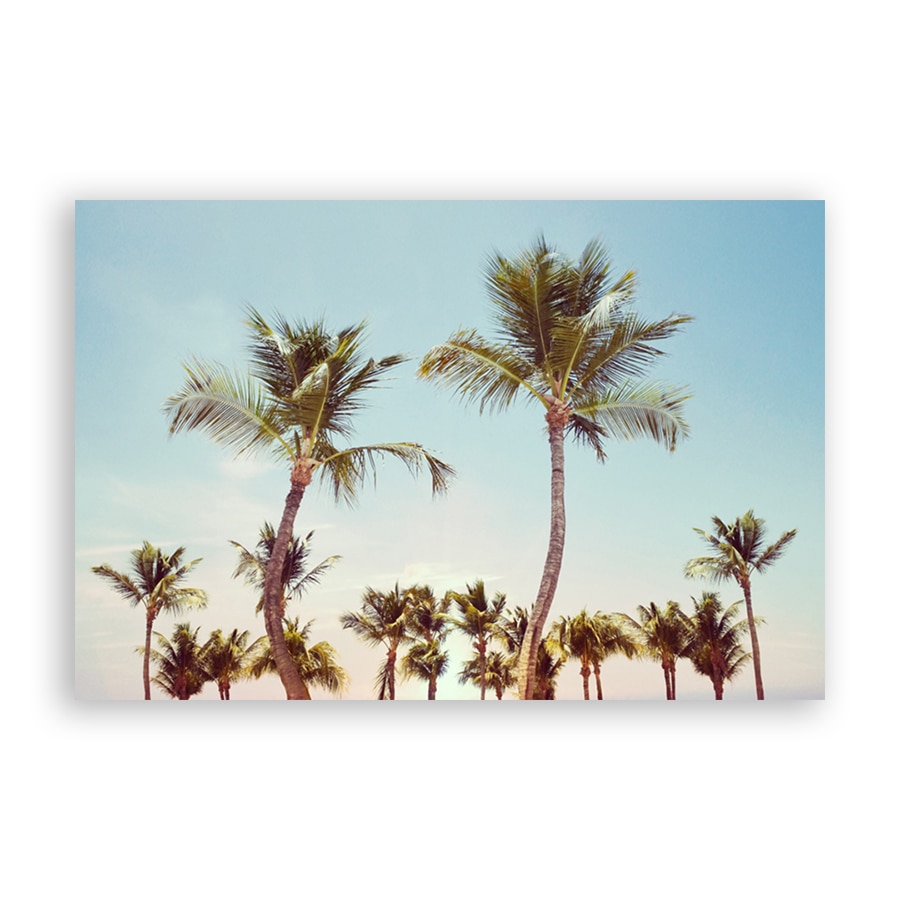 Tablou Canvas - Natura, Palmieri, 80 x 120 cm