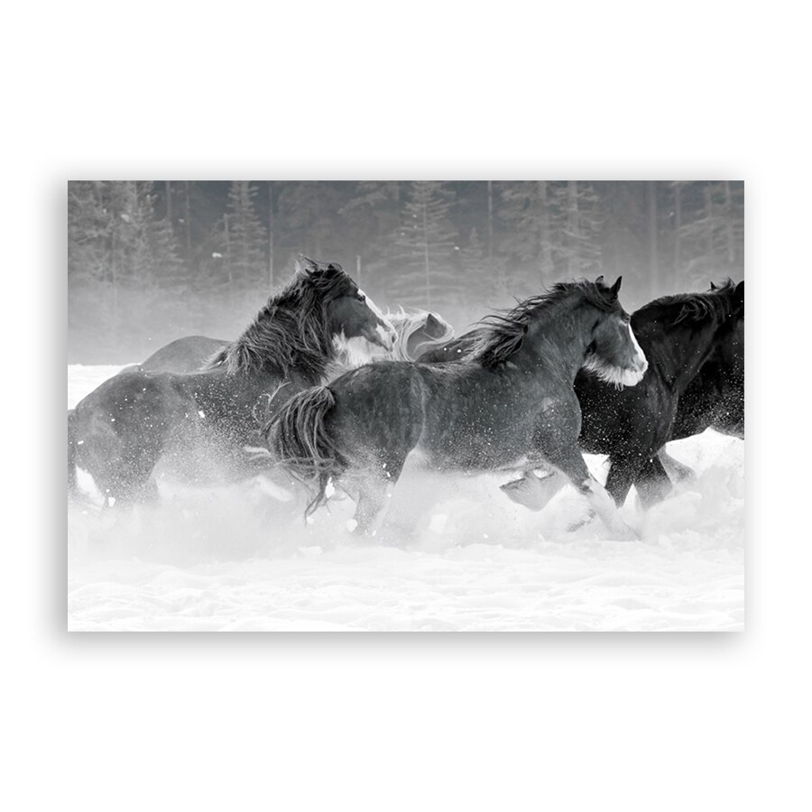 Tablou Canvas - Animal, Cai, Rau, 40 x 60 cm