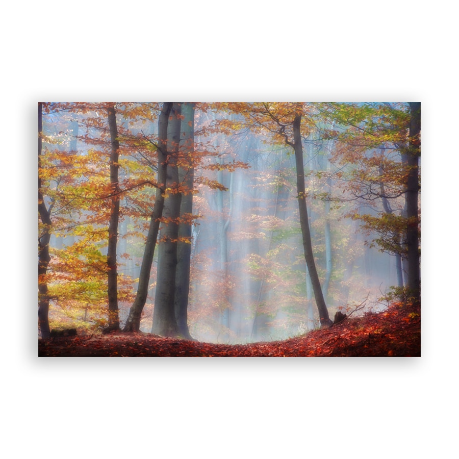 Tablou Canvas - Natura, Peisaj, Padure, Toamna, Frunze, 80 x 120 cm