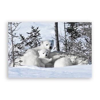 Tablou Canvas - Animal, Urs Polar, Zapada, Iarna, 60 x 90 cm Tablou Canvas - Animal, Urs Polar, Zapada, Iarna, 60 x 90 cm