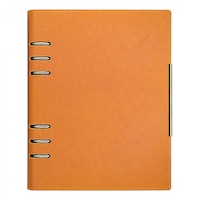 Agenda organizer A5 cu 6 inele bej