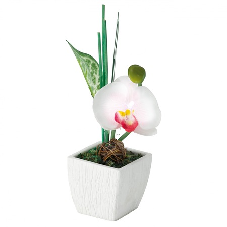 Lumini Decorative 2 X Led Lumina Alba Flori Emag Ro