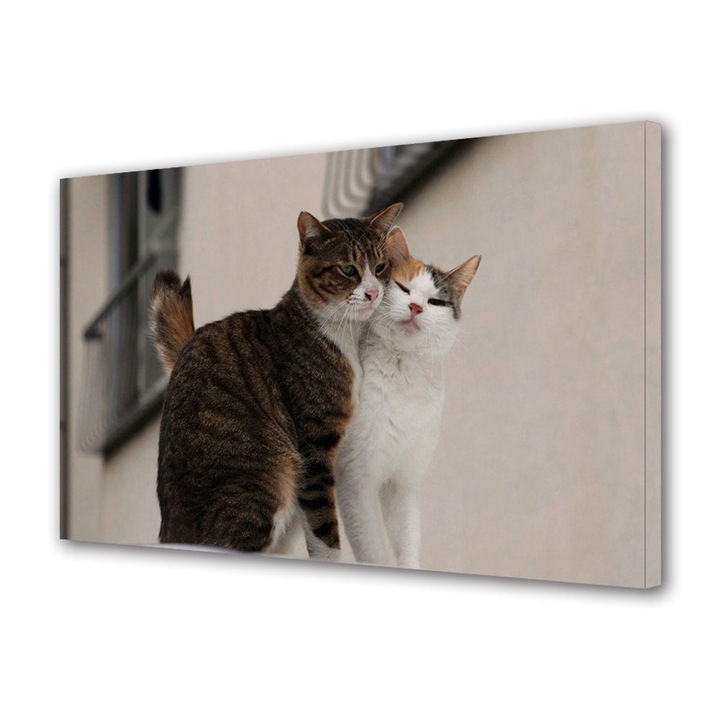 Tablou Canvas Luminos in intuneric VarioView LED, Vday, Iubire intre pisici, 70 x 100 cm