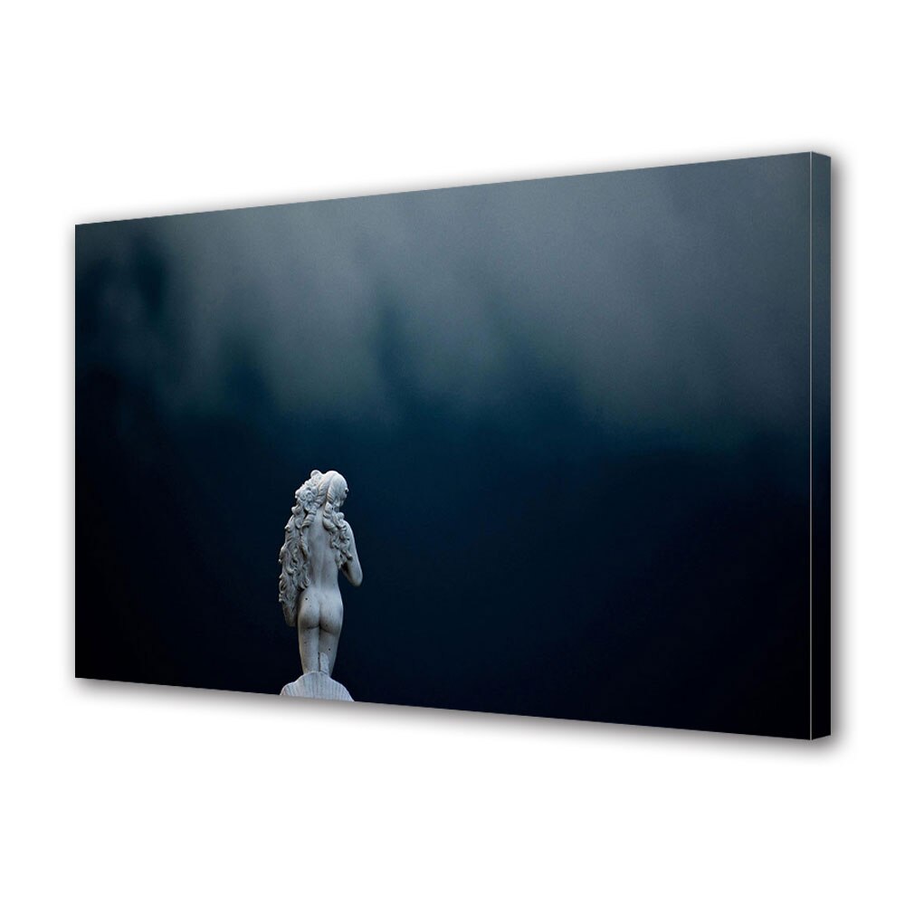 Tablou Canvas Luminos in intuneric VarioView LED, Vday, Sculptura de la spate, 30 x 45 cm