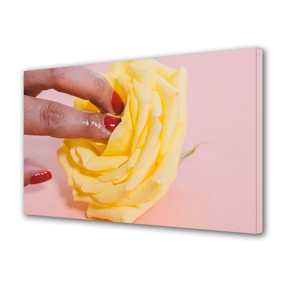 Tablou Canvas Luminos in intuneric VarioView LED, Vday, Atingere trandafirului, 40 x 60 cm