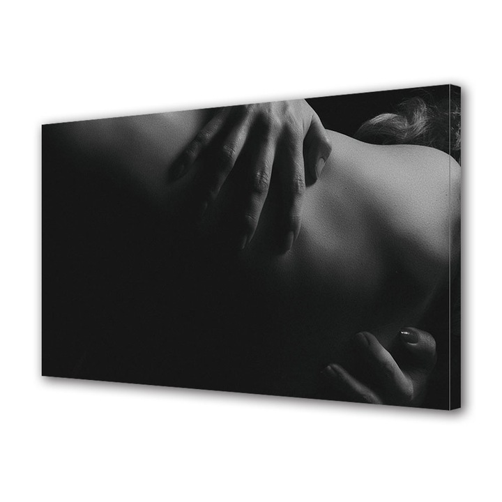 Tablou Canvas Luminos in intuneric VarioView LED, Vday, Detaliu piele, 70 x 100 cm