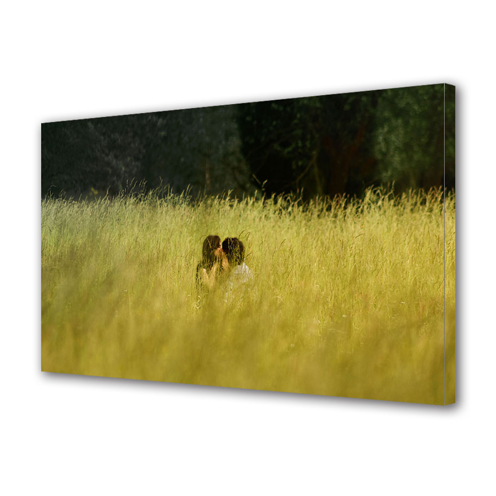 Tablou Canvas Luminos in intuneric VarioView LED, Vday, Sarut in camp, 30 x 45 cm