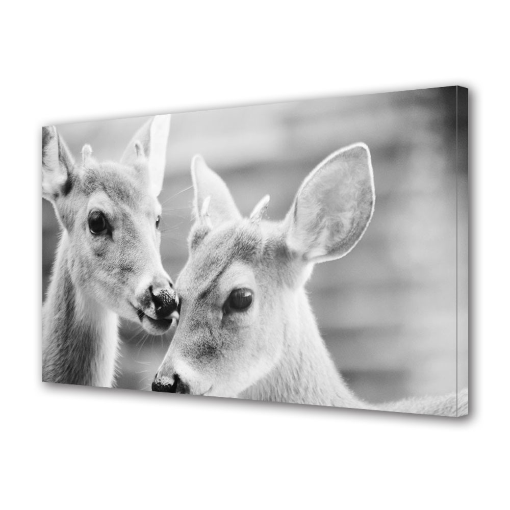 Tablou Canvas Luminos in intuneric VarioView LED, Vday, Caprioare, 30 x 45 cm