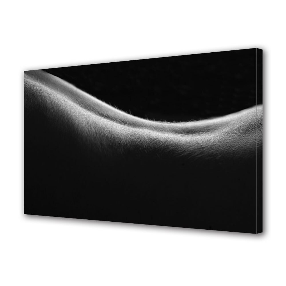 Tablou Canvas Luminos in intuneric VarioView LED, Vday, Linia spatelui, 30 x 45 cm