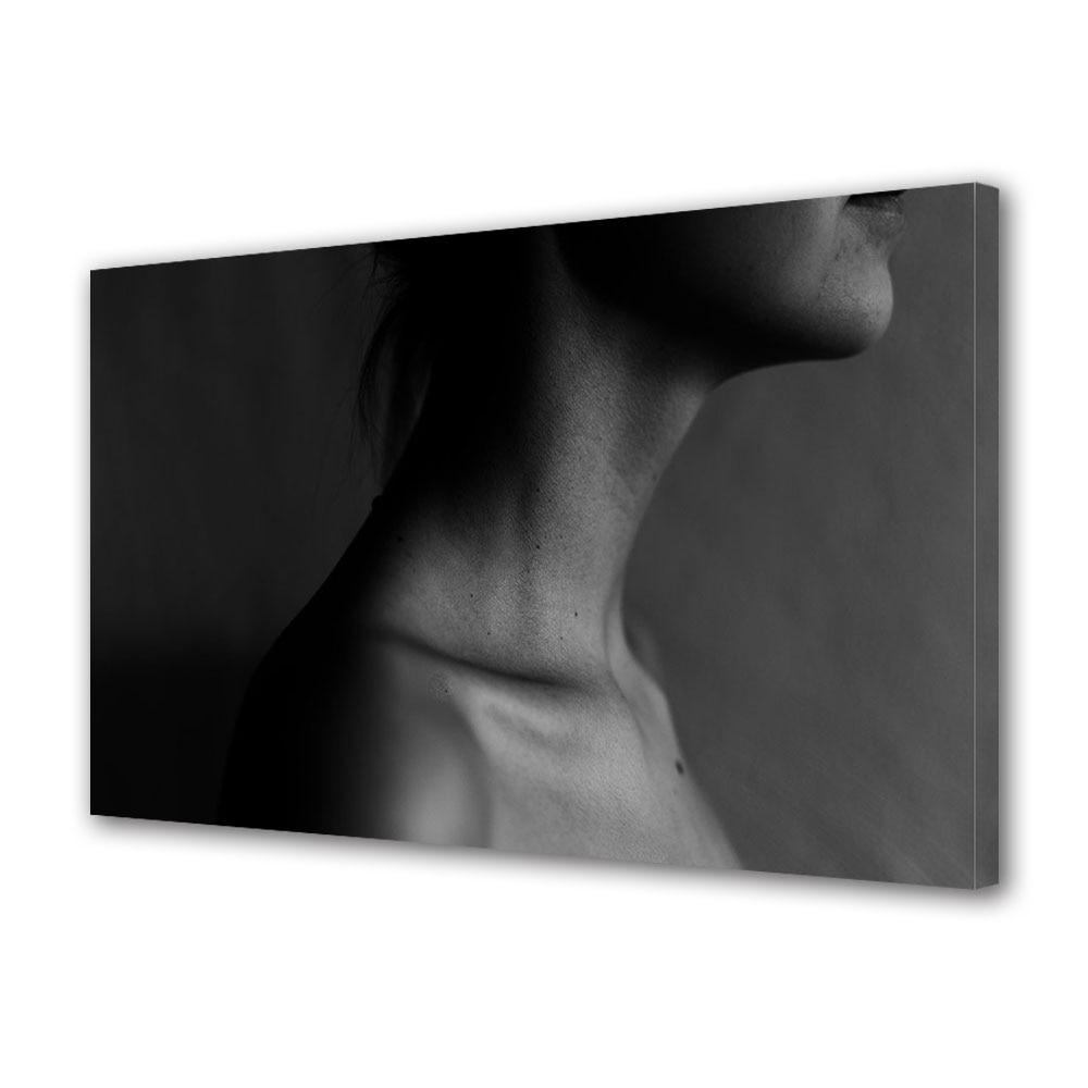 Tablou Canvas Luminos in intuneric VarioView LED, Vday, Piele alb negru, 30 x 45 cm