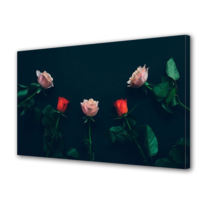 Tablou Canvas Luminos in intuneric VarioView LED, Vday, Trandafiri pe fundal negru, 70 x 100 cm