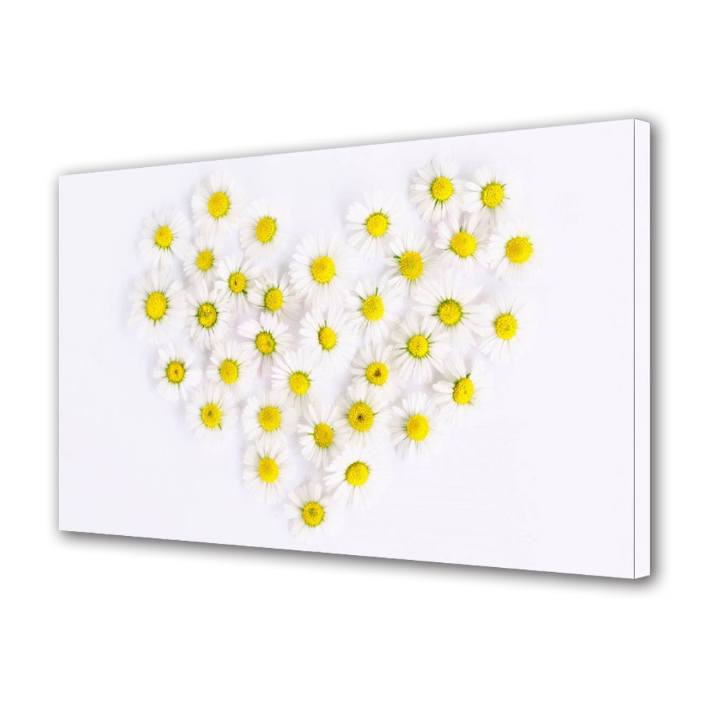 Tablou Canvas Luminos in intuneric VarioView LED, Vday, Floricele albe, 30 x 45 cm
