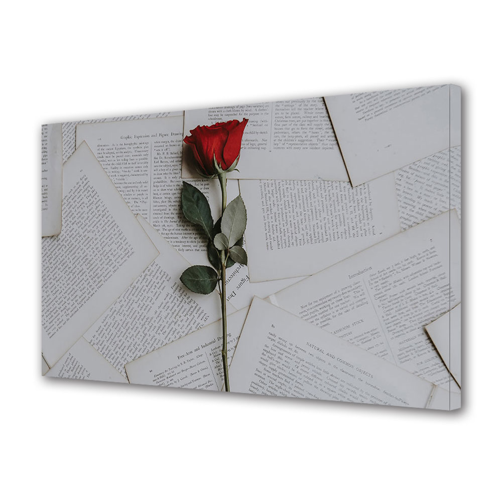 Tablou Canvas Luminos in intuneric VarioView LED, Vday, Trandafir rosu peste foi, 30 x 45 cm