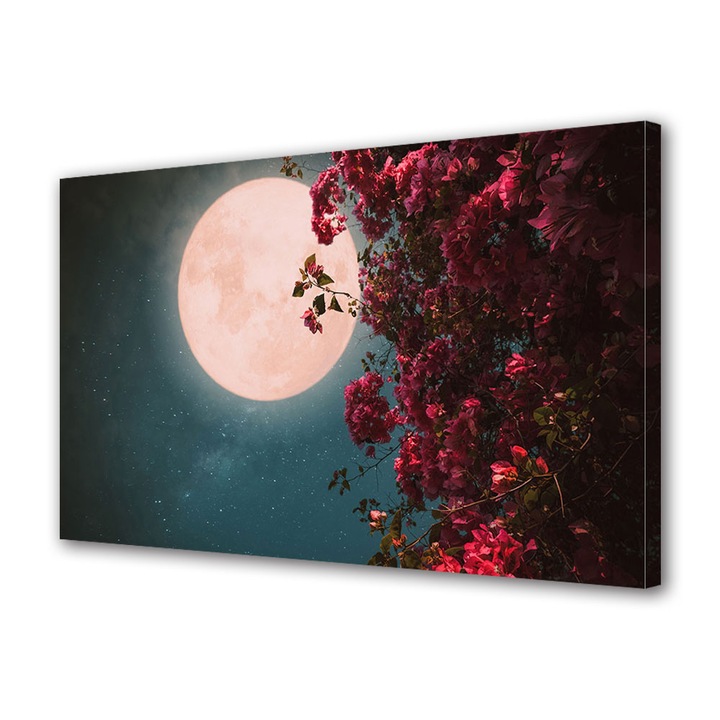 Tablou Canvas Luminos in intuneric VarioView LED, Vday, Cadru pentru indragostiti, 70 x 100 cm