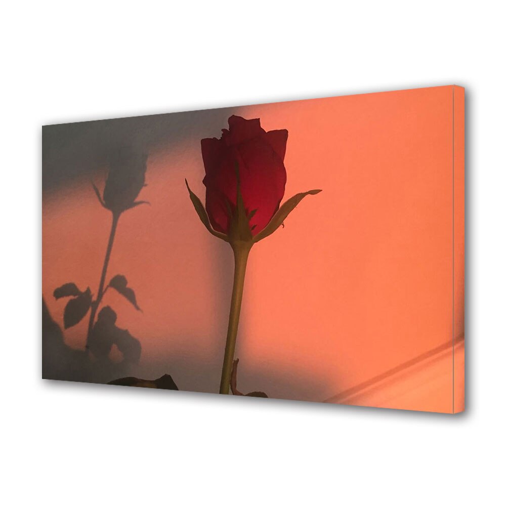 Tablou Canvas Luminos in intuneric VarioView LED, Vday, Lumina de apus pe trandafir, 40 x 60 cm