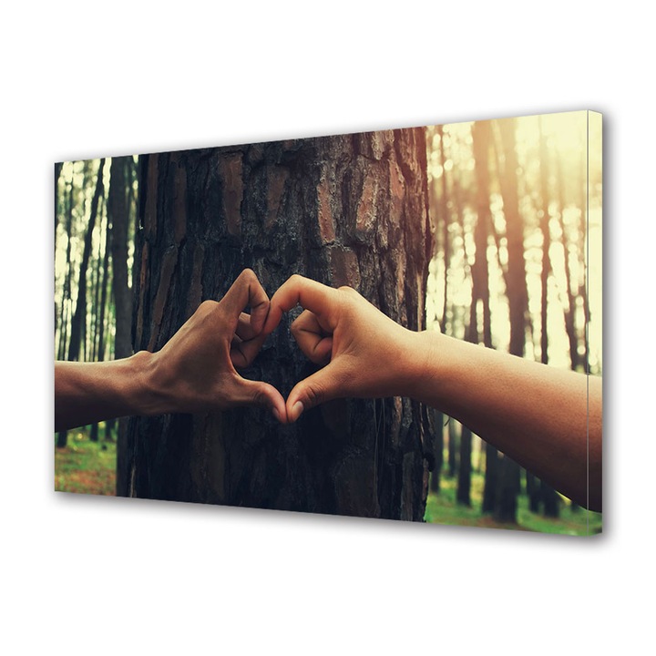 Tablou Canvas Luminos in intuneric VarioView LED, Vday, Inima din maini, 70 x 100 cm