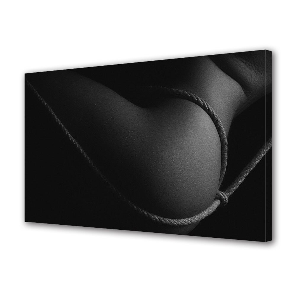 Tablou Canvas Luminos in intuneric VarioView LED, Vday, Partenera cu funie, 30 x 45 cm