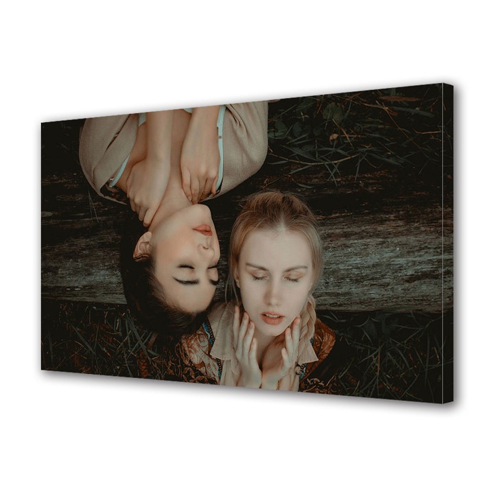 Tablou Canvas Luminos in intuneric VarioView LED, Vday, Femei diametral opuse, 70 x 100 cm