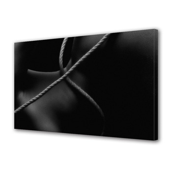 Tablou Canvas Luminos in intuneric VarioView LED, Vday, Partenera legata, 30 x 45 cm Tablou Canvas Luminos in intuneric VarioView LED, Vday, Partenera legata, 30 x 45 cm