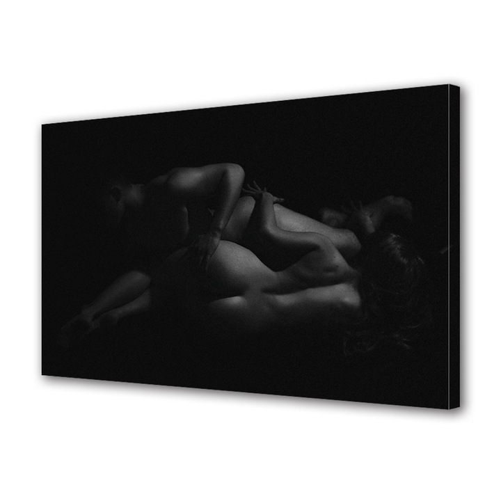 Tablou Canvas Luminos in intuneric VarioView LED, Vday, Trupuri atinse, 70 x 100 cm