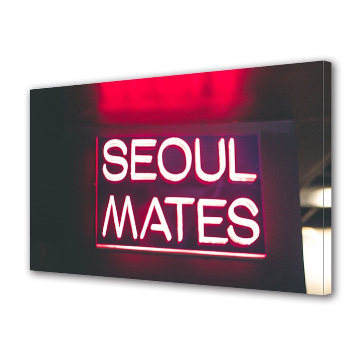 Tablou Canvas Luminos in intuneric VarioView LED, Vday, Suflete pereche, 70 x 100 cm