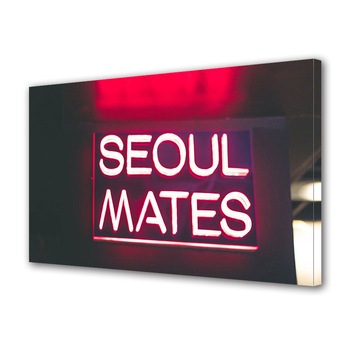 Tablou Canvas Luminos in intuneric VarioView LED, Vday, Suflete pereche, 30 x 45 cm Tablou Canvas Luminos in intuneric VarioView LED, Vday, Suflete pereche, 30 x 45 cm