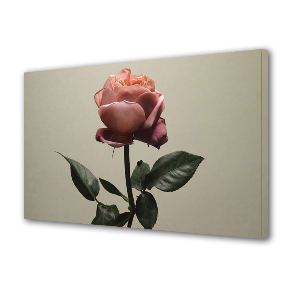 Tablou Canvas Luminos in intuneric VarioView LED, Vday, Trandafir roz pal, 30 x 45 cm
