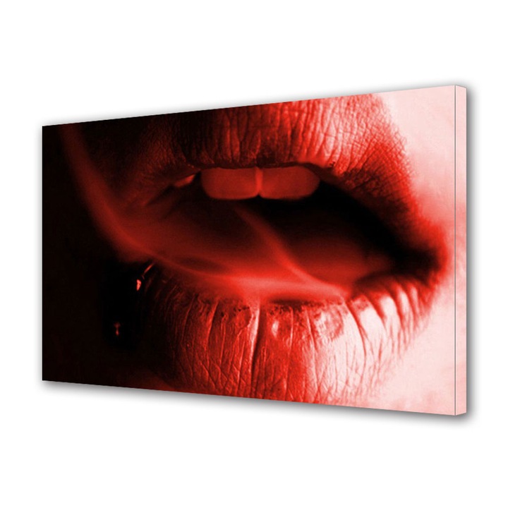 Tablou Canvas Luminos in intuneric VarioView LED, Vday, Fum intre buze rosii, 70 x 100 cm