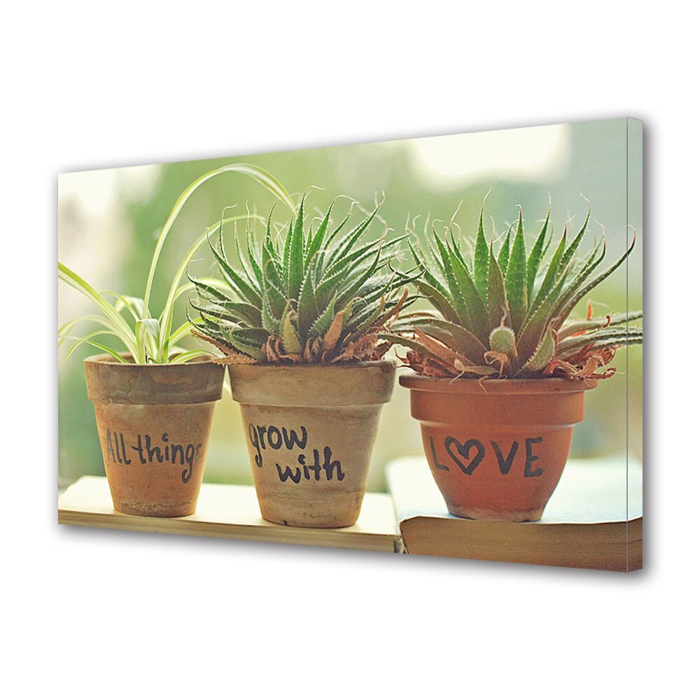 Tablou Canvas Luminos in intuneric VarioView LED, Vday, Plante crescute cu dragoste, 30 x 45 cm