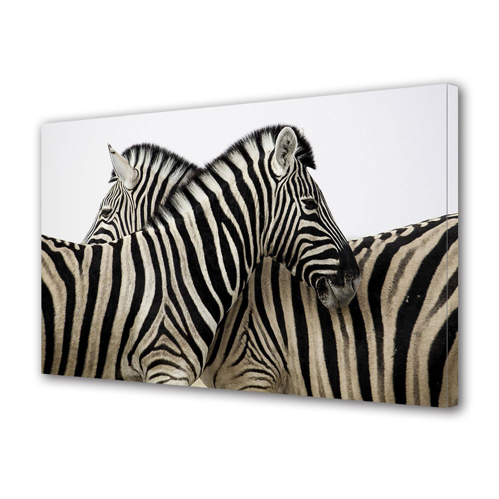 Tablou Canvas Luminos in intuneric VarioView LED, Vday, Zebre unite, 30 x 45 cm