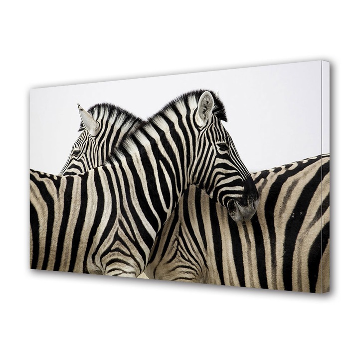 Tablou Canvas Luminos in intuneric VarioView LED, Vday, Zebre unite, 70 x 100 cm