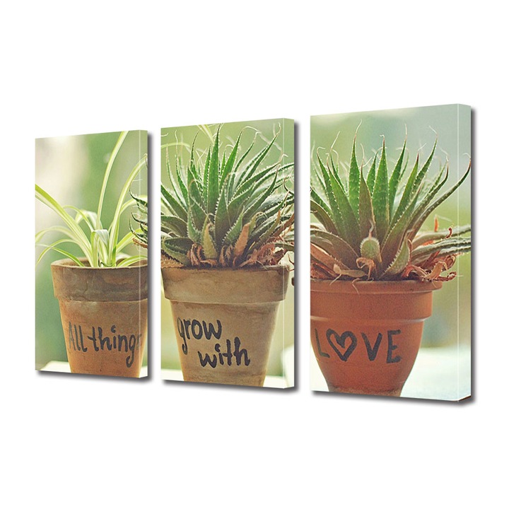 Set Tablouri Multicanvas 3 piese Colectia Ziua Indragostitilor, Dragobete, Valentine's Day, Plante crescute cu dragoste, Decoratiuni Moderne pentru Casa, 3 x 40 x 60 cm