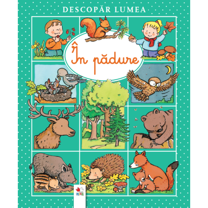 Descopar lumea. In padure