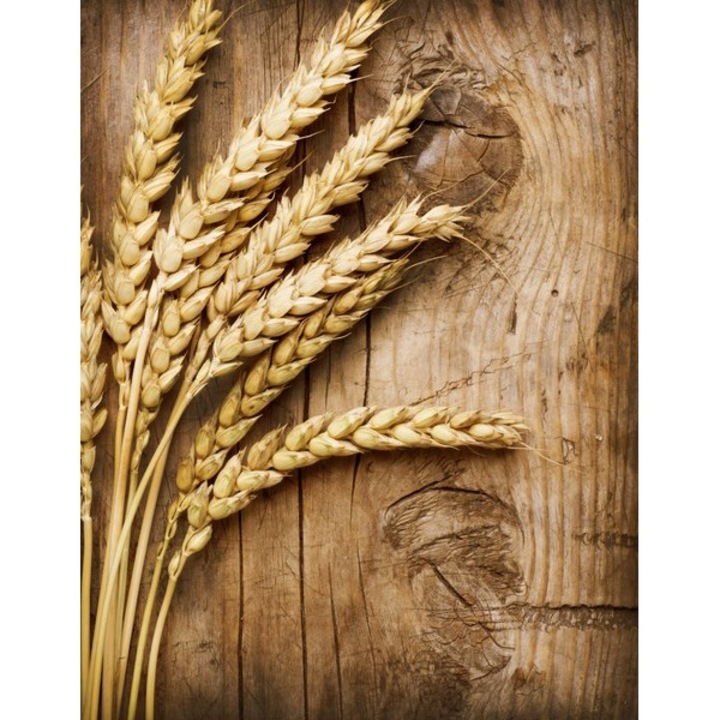 Poza canvas, Myletos, Rama extensibila, 40x51cm