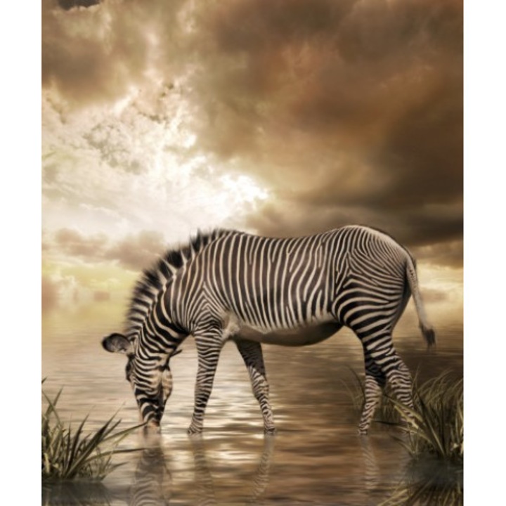 Poza canvas, Rama stretch, Decor animal, 60x72cm, Bej