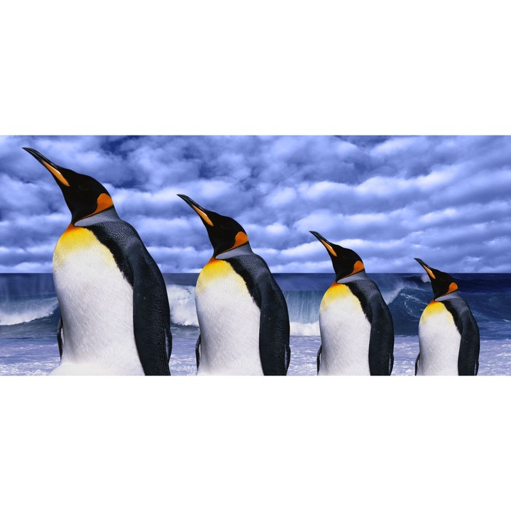 Poza canvas cu pinguini, Myletos, Rama extensibila, 40x80cm