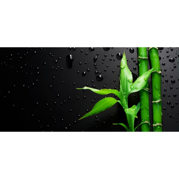 Poza panza, Myletos, Rama extensibila, 40x60cm