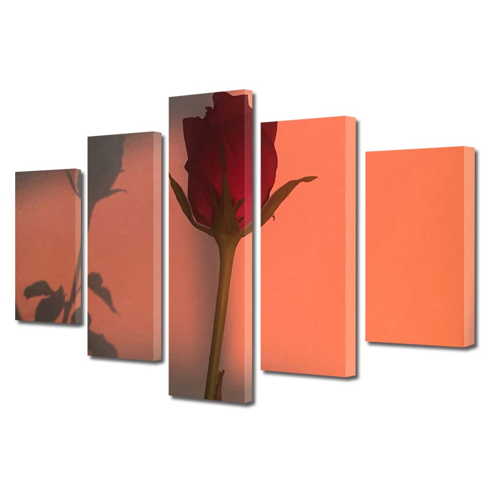Set Tablouri Multicanvas 5 piese Colectia Ziua Indragostitilor, Dragobete, Valentine's Day, Lumina de apus pe trandafir, Decoratiuni Moderne pentru Casa, 120 x 225 cm