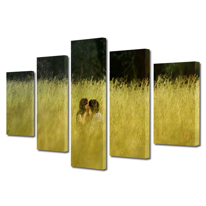 Set Tablouri Multicanvas 5 piese Colectia Ziua Indragostitilor, Dragobete, Valentine's Day, Sarut in camp, Decoratiuni Moderne pentru Casa, 70 x 125 cm