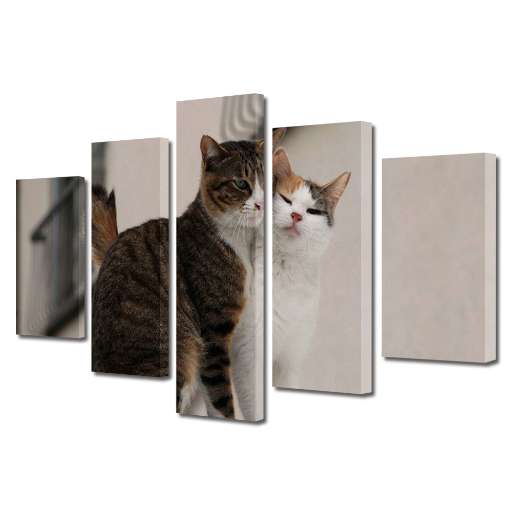 Set Tablouri Multicanvas 5 piese Colectia Ziua Indragostitilor, Dragobete, Valentine's Day, Iubire intre pisici, Decoratiuni Moderne pentru Casa, 120 x 225 cm
