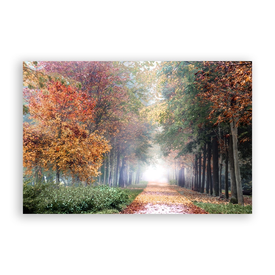 Tablou Canvas - Natura, Peisaj, Padure, Frunze, Toamna, 80 x 120 cm