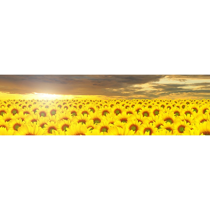 Комплект от 3 декоративни панела за кухнята, защита за печка, против пръски, закалено стъкло 6 мм, UV печат, Octopus, Многоцветен, 2250 мм x 650 мм oct005-225 x 65