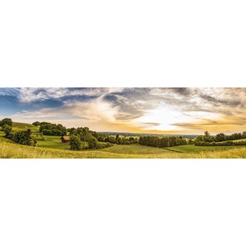 Set 3 piese panou decorativ din sticla securizata pentru bucatarie, protectie aragaz, antistropire, sticla securizata 6mm, Print UV, OCTOPUS, imprimata Multicolor, 2250mmx650mm oct016-225x65 Set 3 piese panou decorativ din sticla securizata pentru bucatarie, protectie aragaz, antistropire, sticla securizata 6mm, Print UV, OCTOPUS, imprimata Multicolor, 2250mmx650mm oct016-225x65