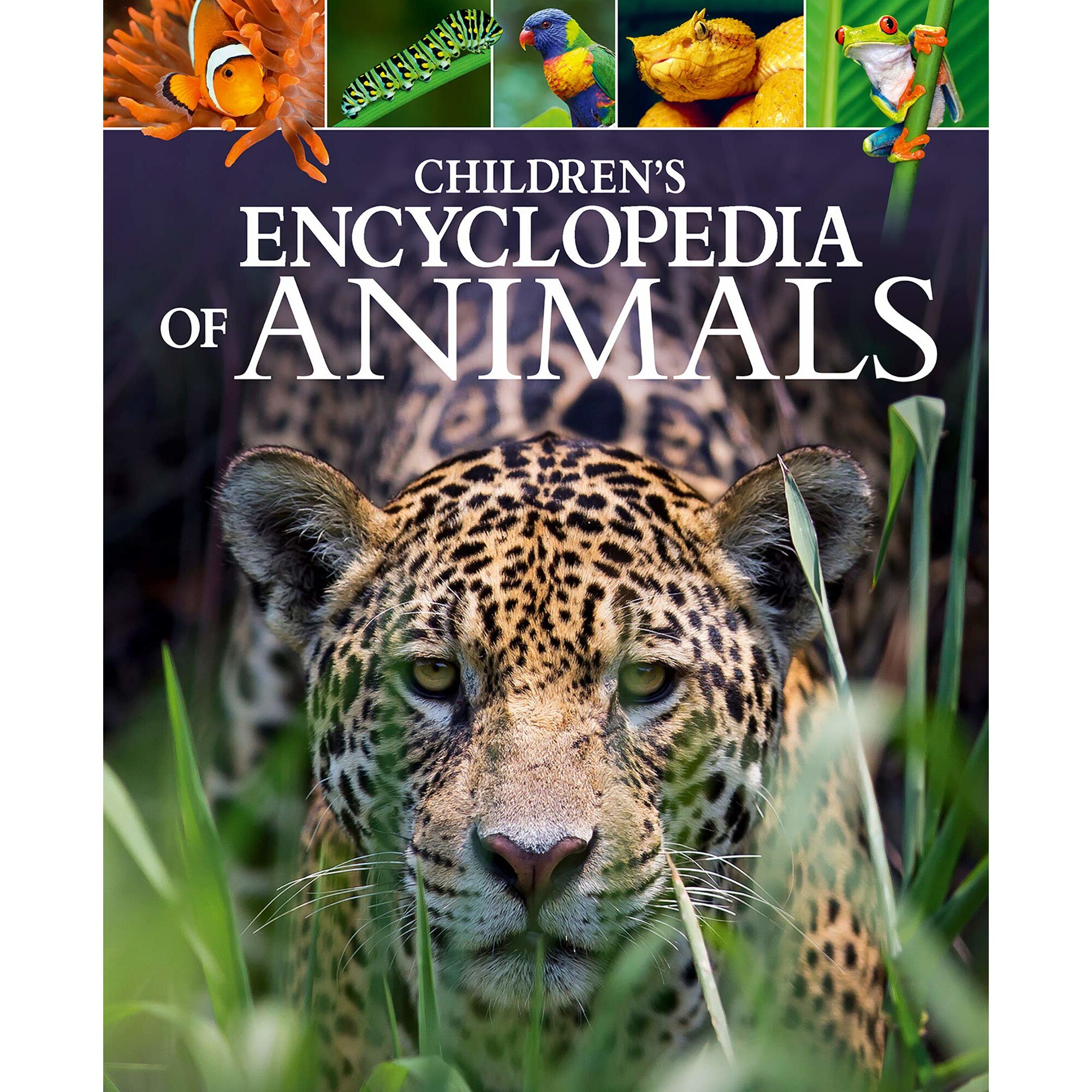 Children'S Encyclopedia of Animals - Michael Leach