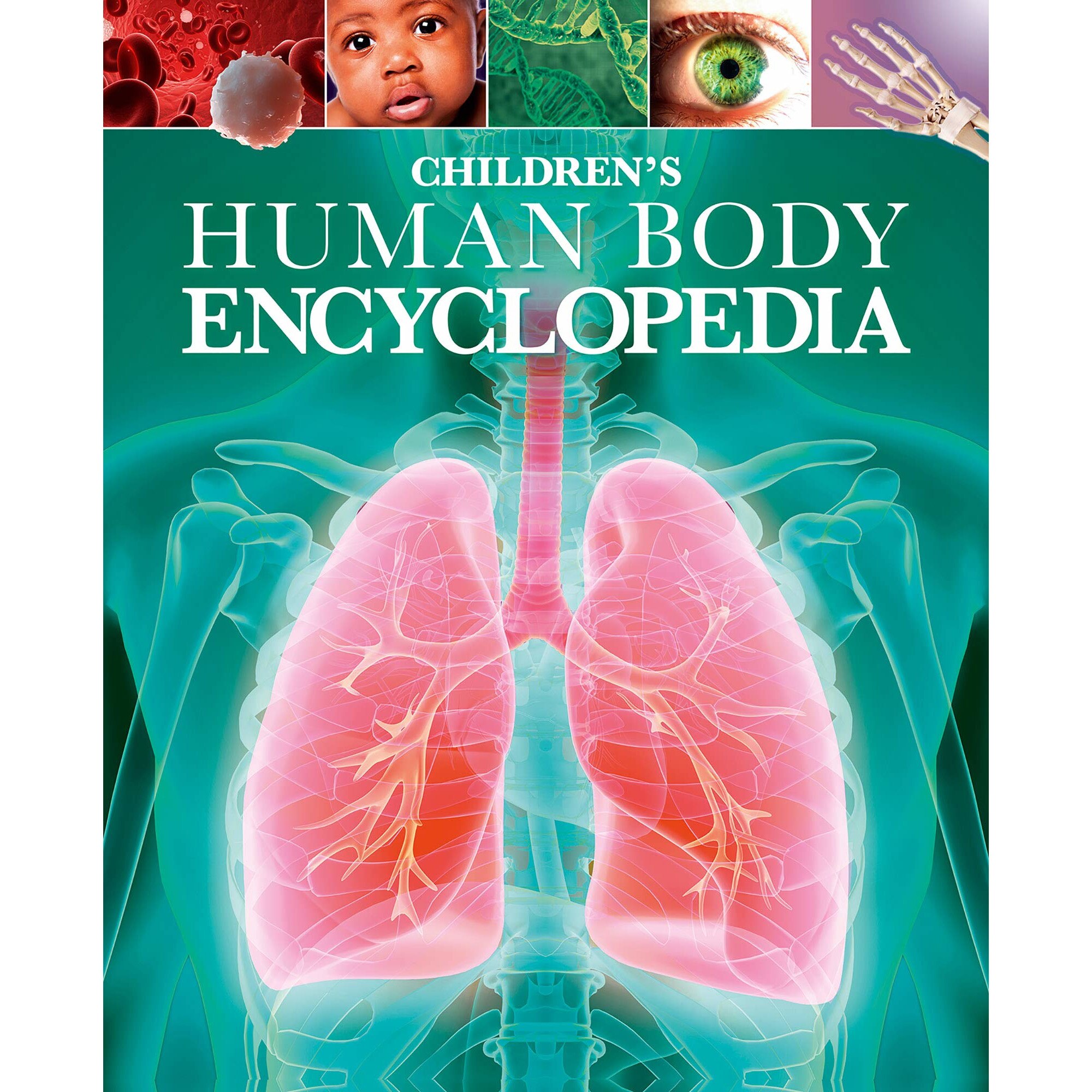 Children's Human Body Encyclopedia - Clare Hibbert