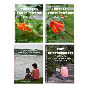 Set de 4 Carti Programare Incepatori, Gabriel Braharu, colectia  Set de 4 Carti Programare Incepatori, Gabriel Braharu, colectia