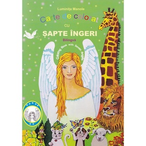 Cursuri limbi straine